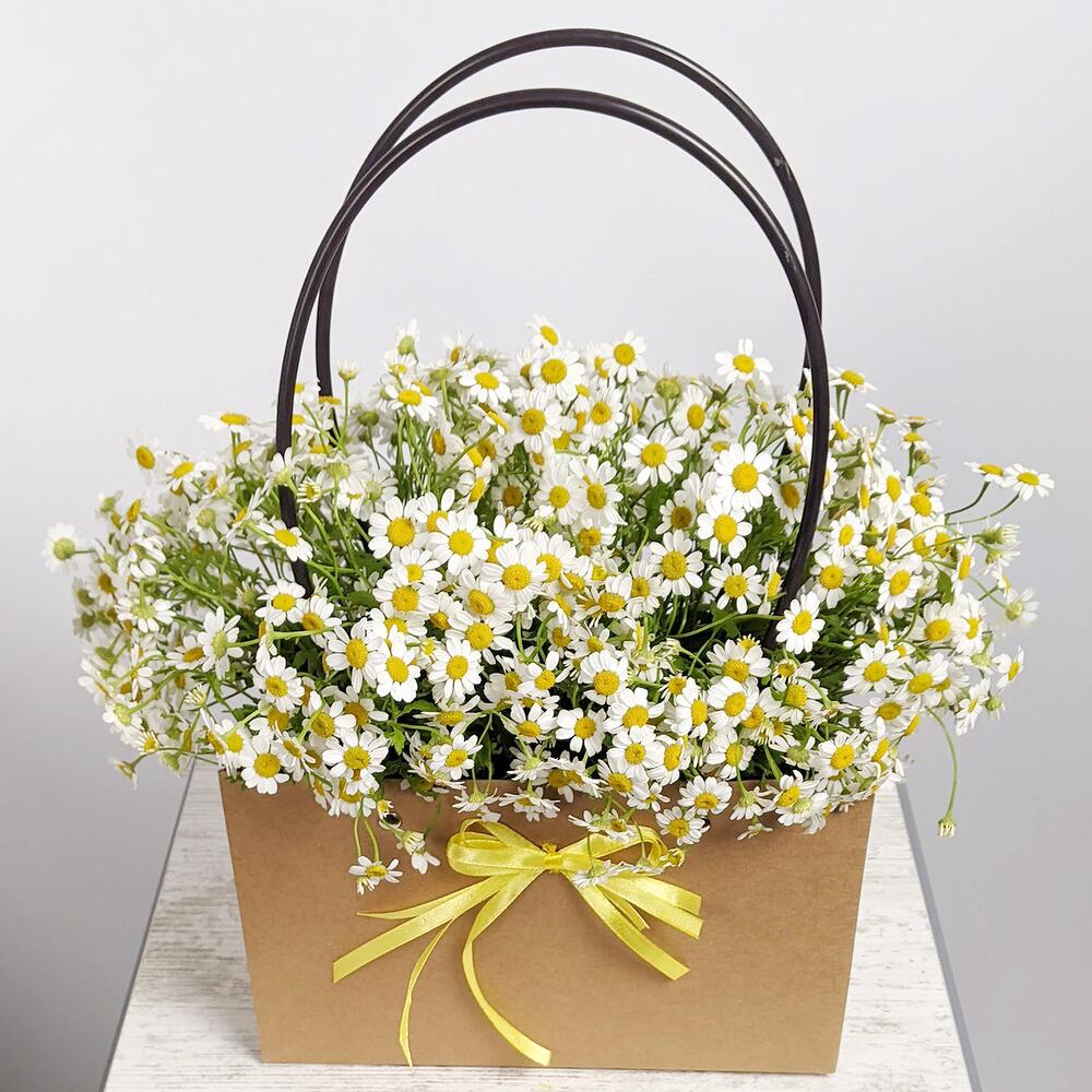 Handbag with Camilla