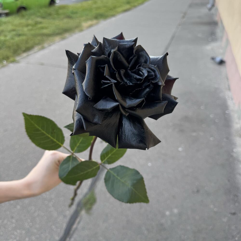 Черная роза
