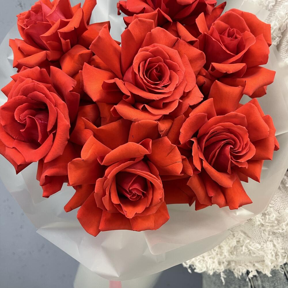 Тот самый всеми любимый сорт!  🌹 Nina — наша яркая и стойкая алая классика