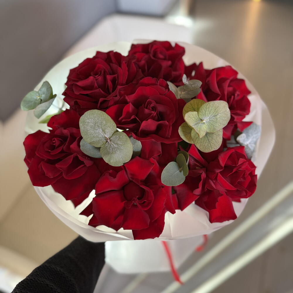 To my only one