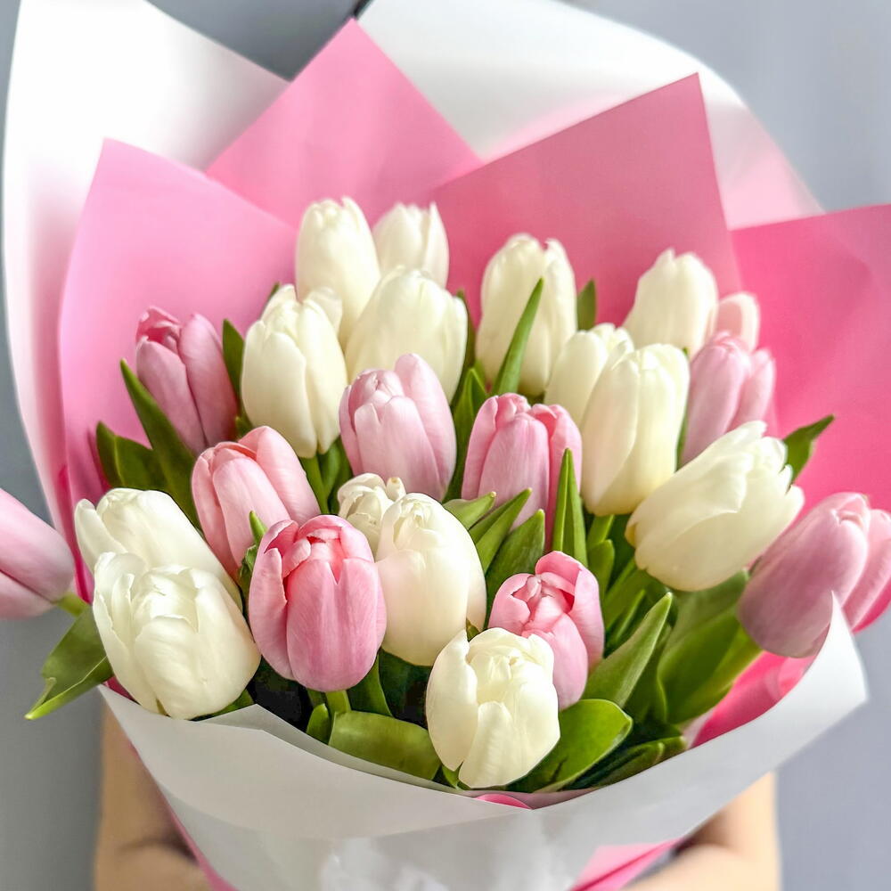 Тюльпаны 🌷