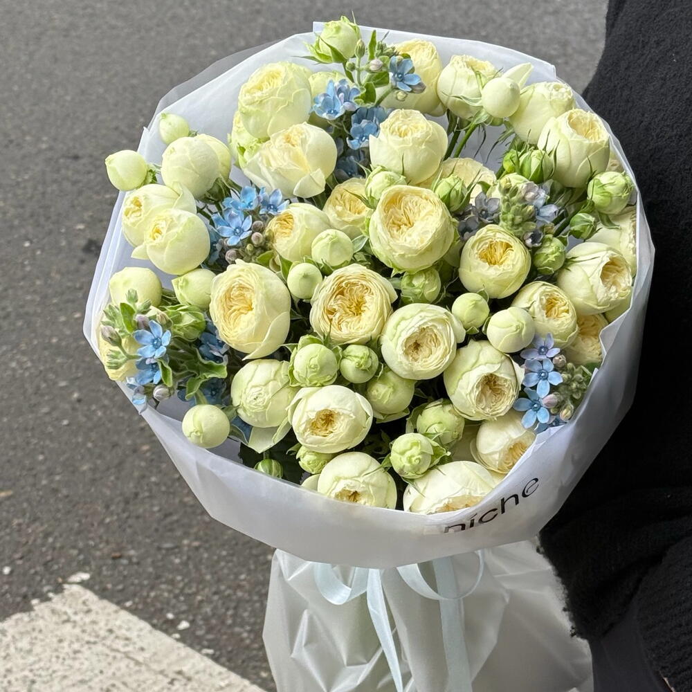 Roses with oxypetalum