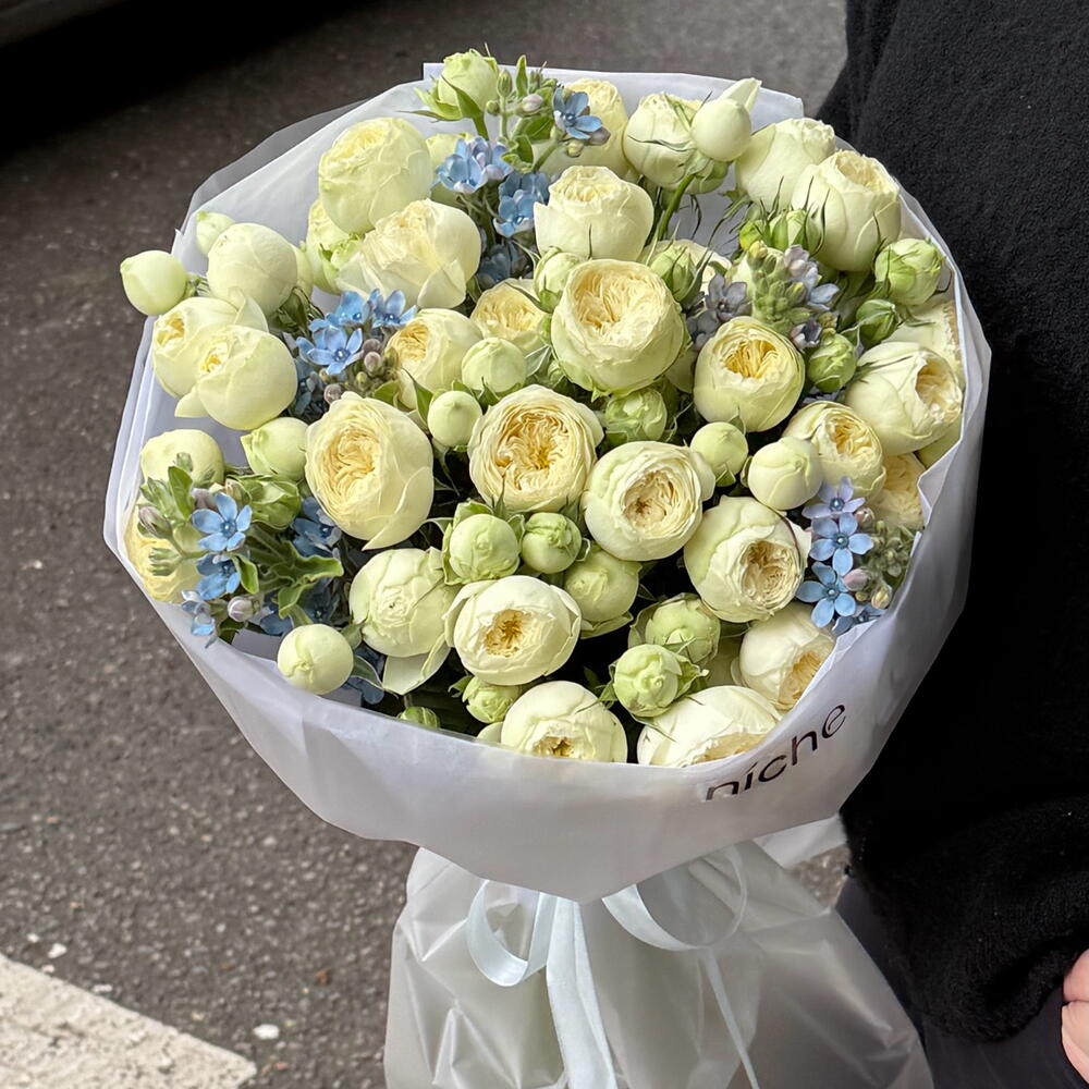 Roses with oxypetalum