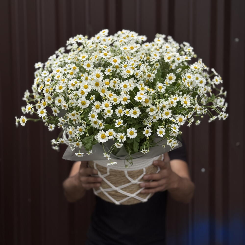 «Майская любовь»