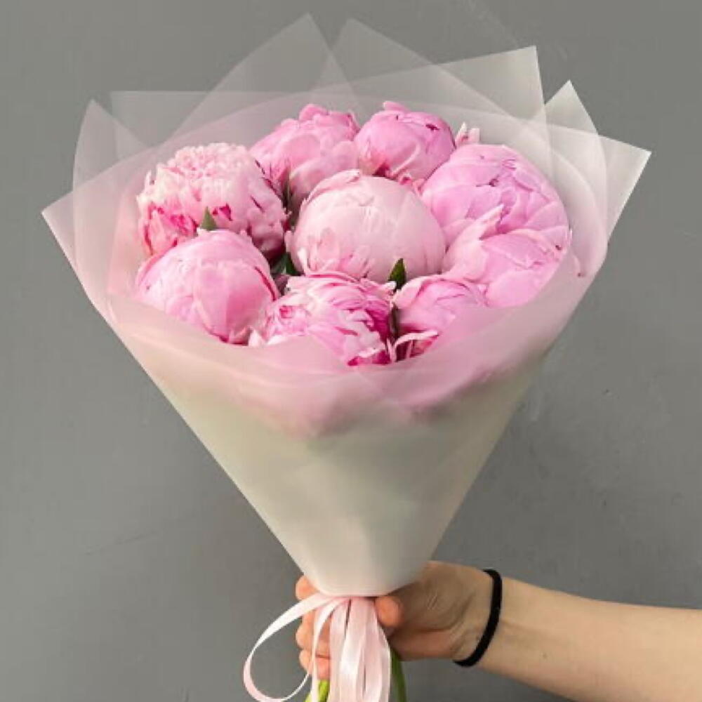 9 Пионы Сара Бернар в матовой упаковке (0006) peony