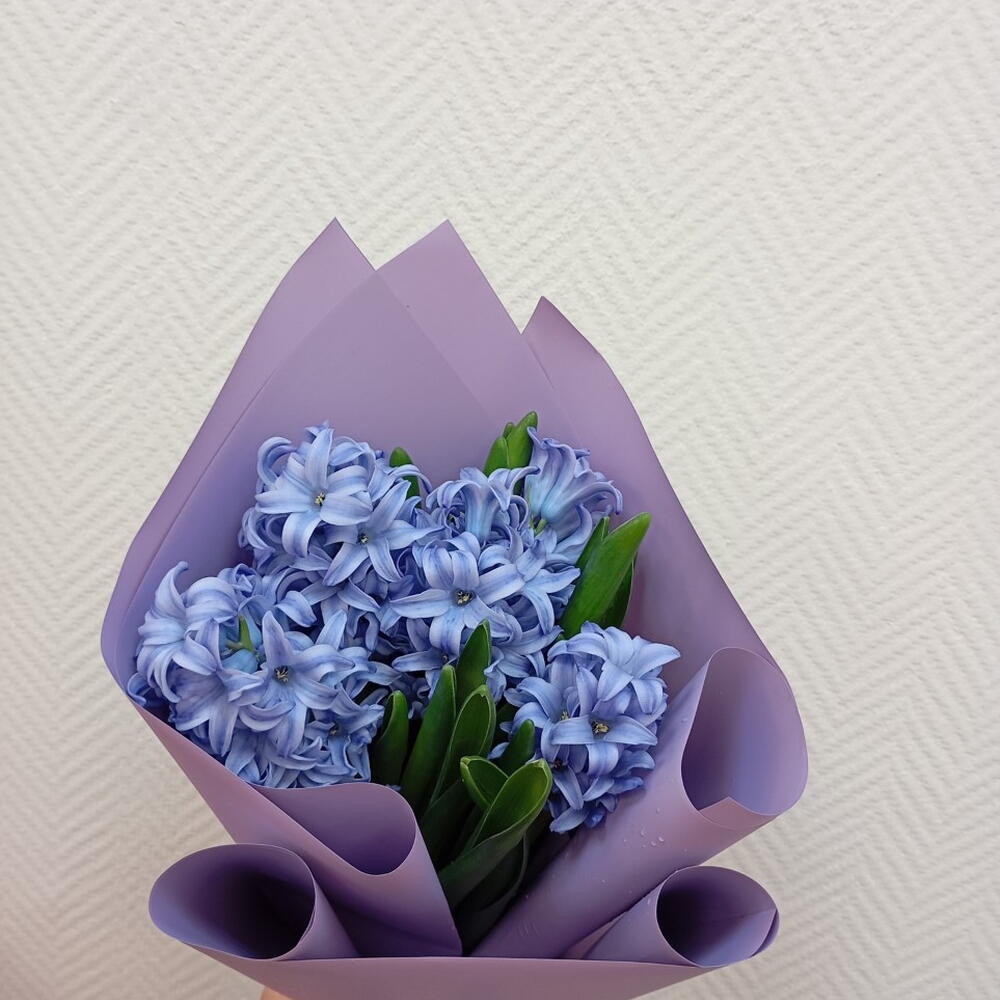 Букет из 5 Гиацинтов  🌸🌸🌸