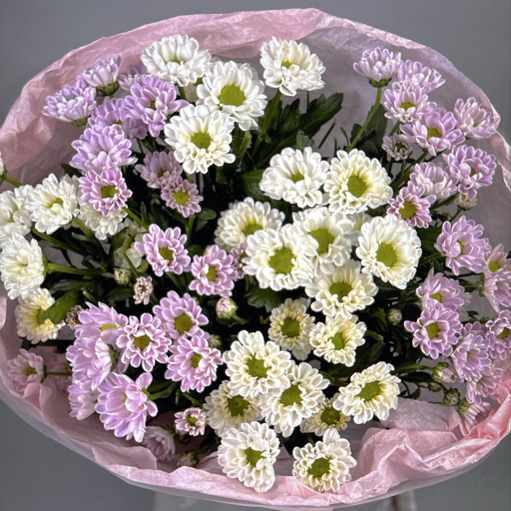 Дуо букет из белых и розовых сантини (49-0508)