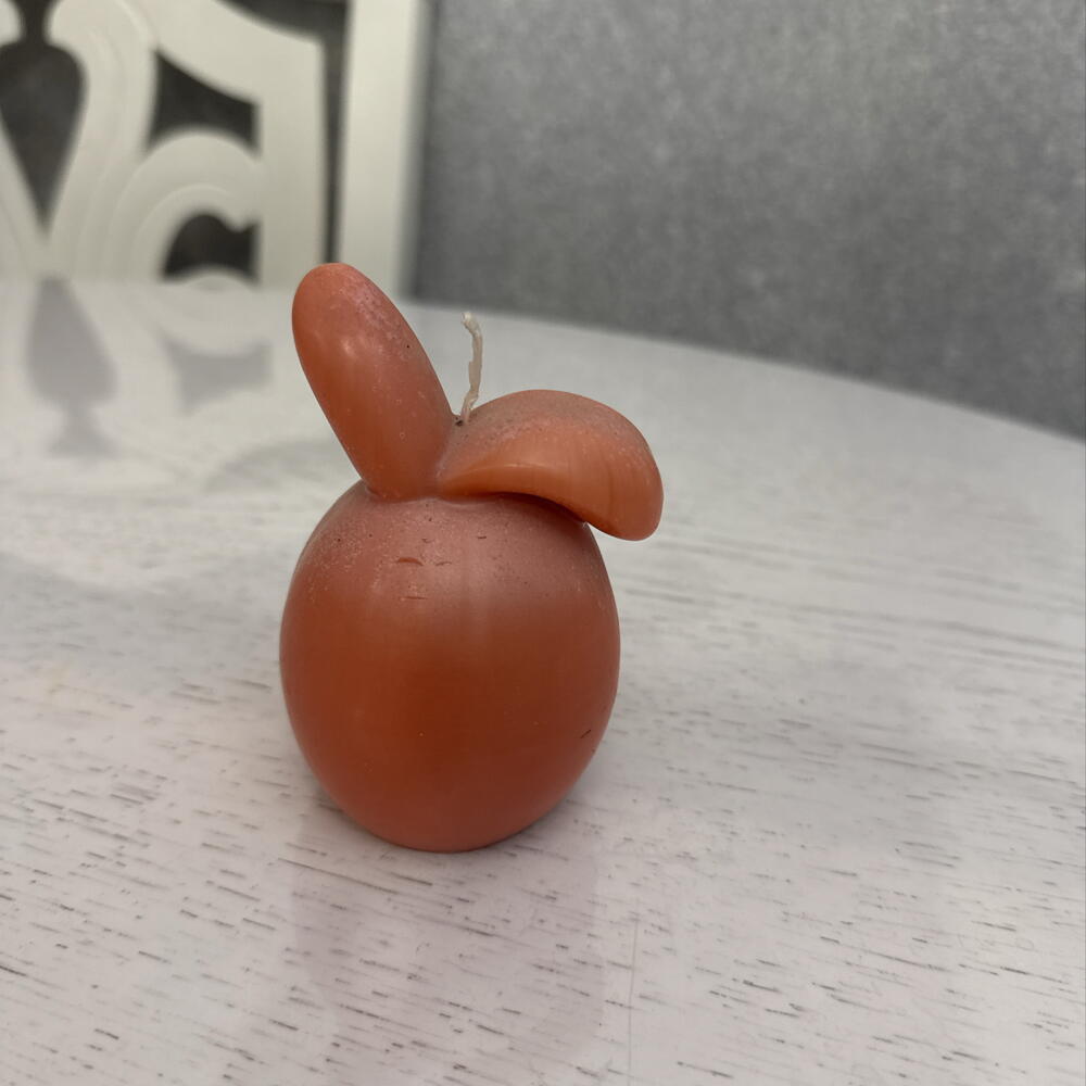 Зая