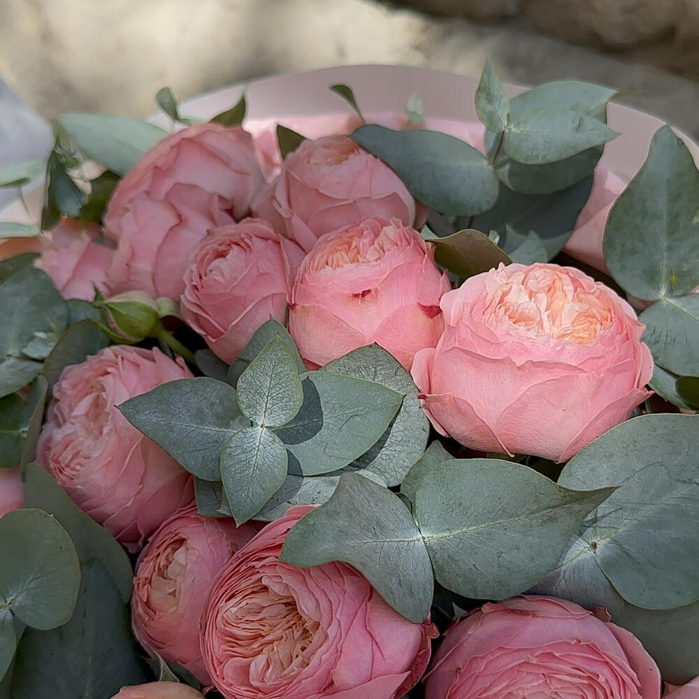 Bouquet 243