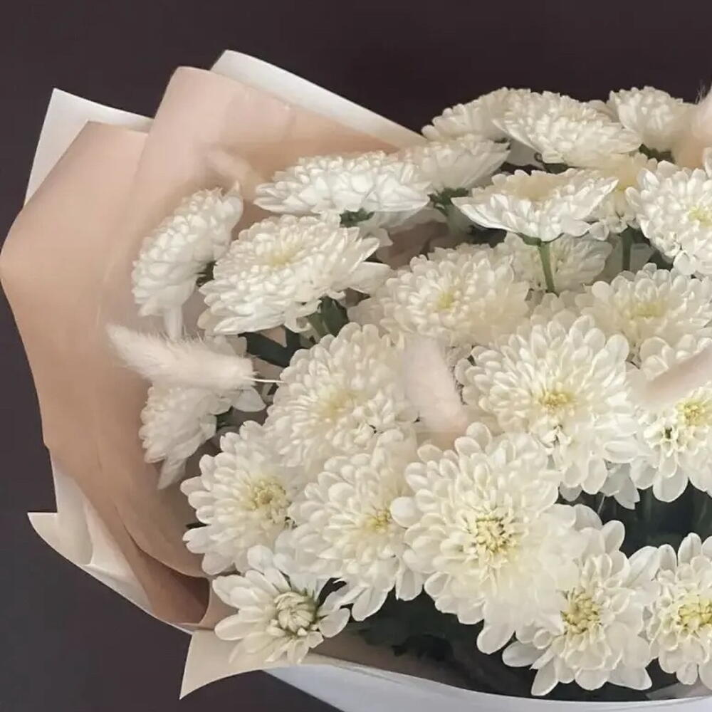 С лагурусом