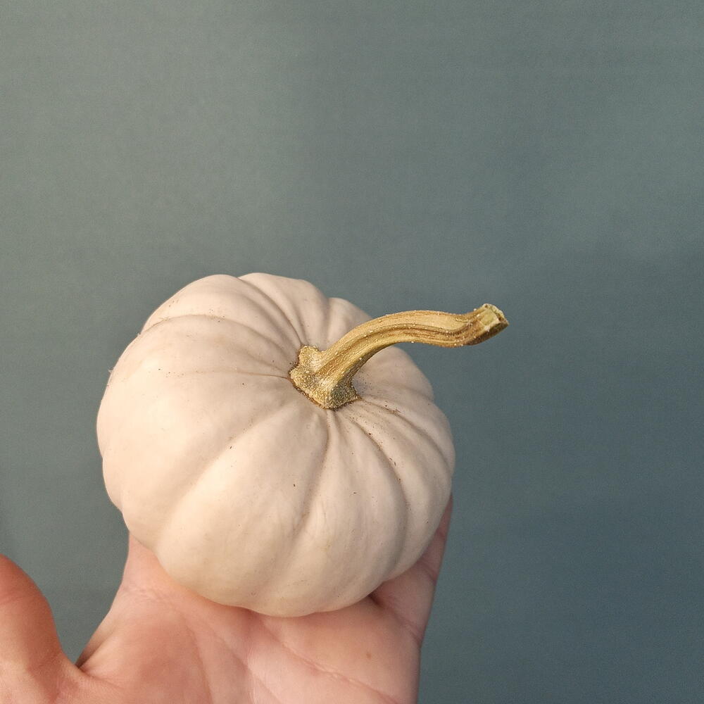 Три мини тыковки 🎃