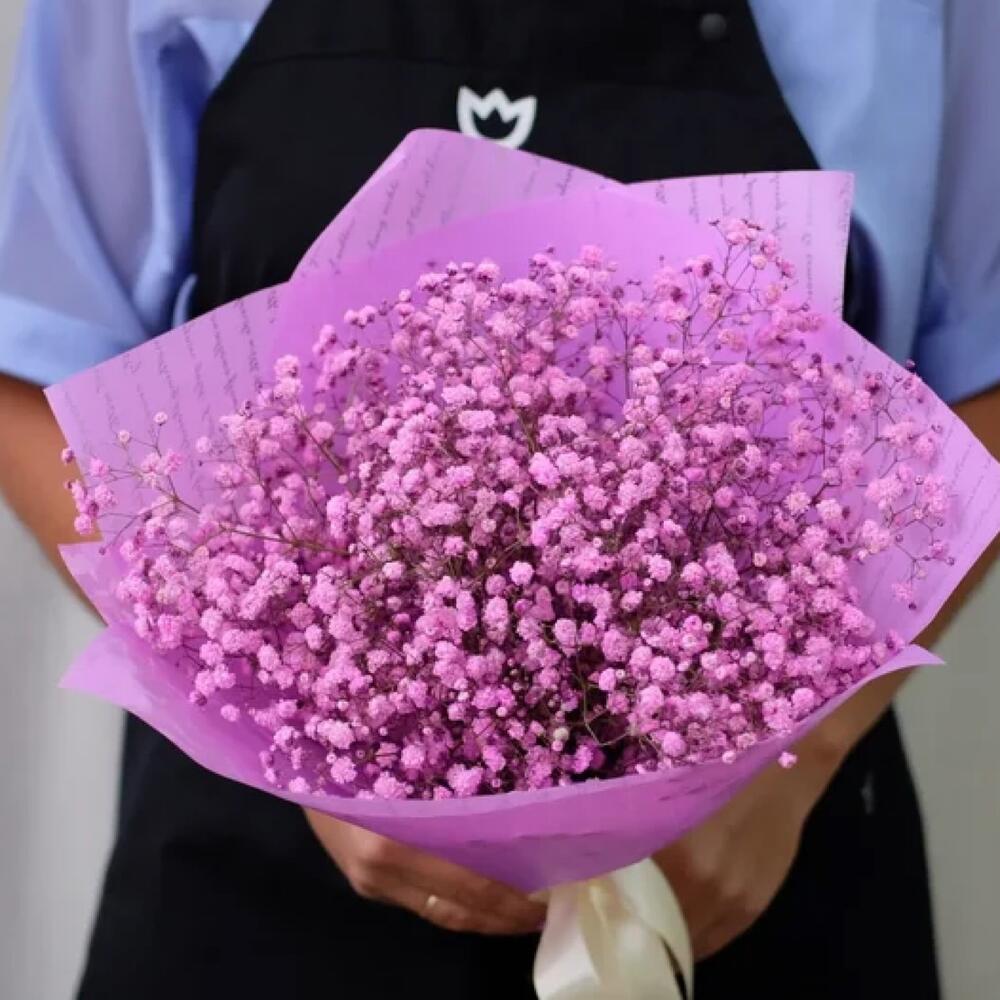 Nube rosa de gypsophila