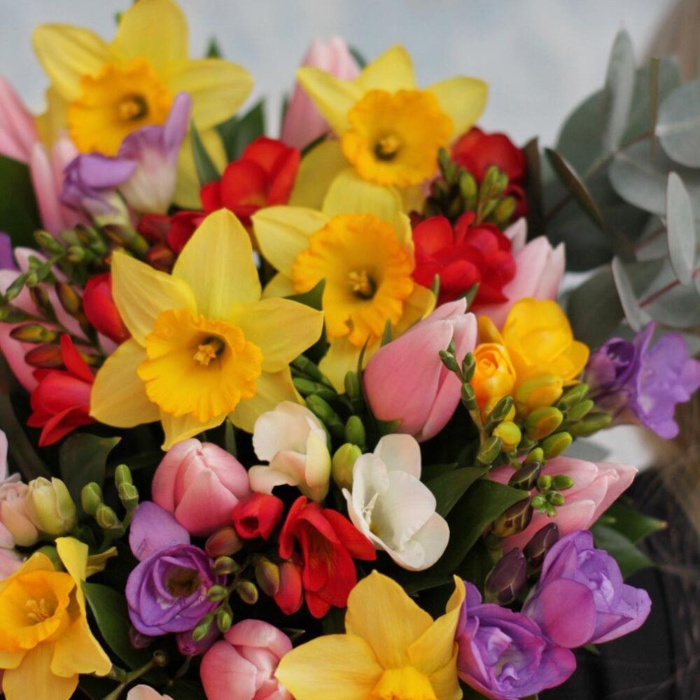Букет из фрезии Краски весны, Цветы и подарки Ростов-на-Дону ...