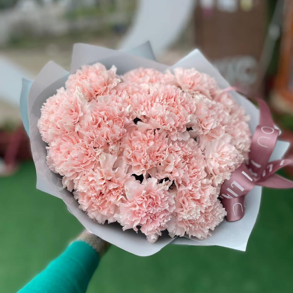 17 нежных диантусов