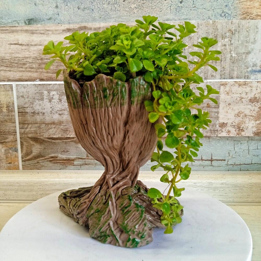 Groot-el guardián de la vegetación 🌱