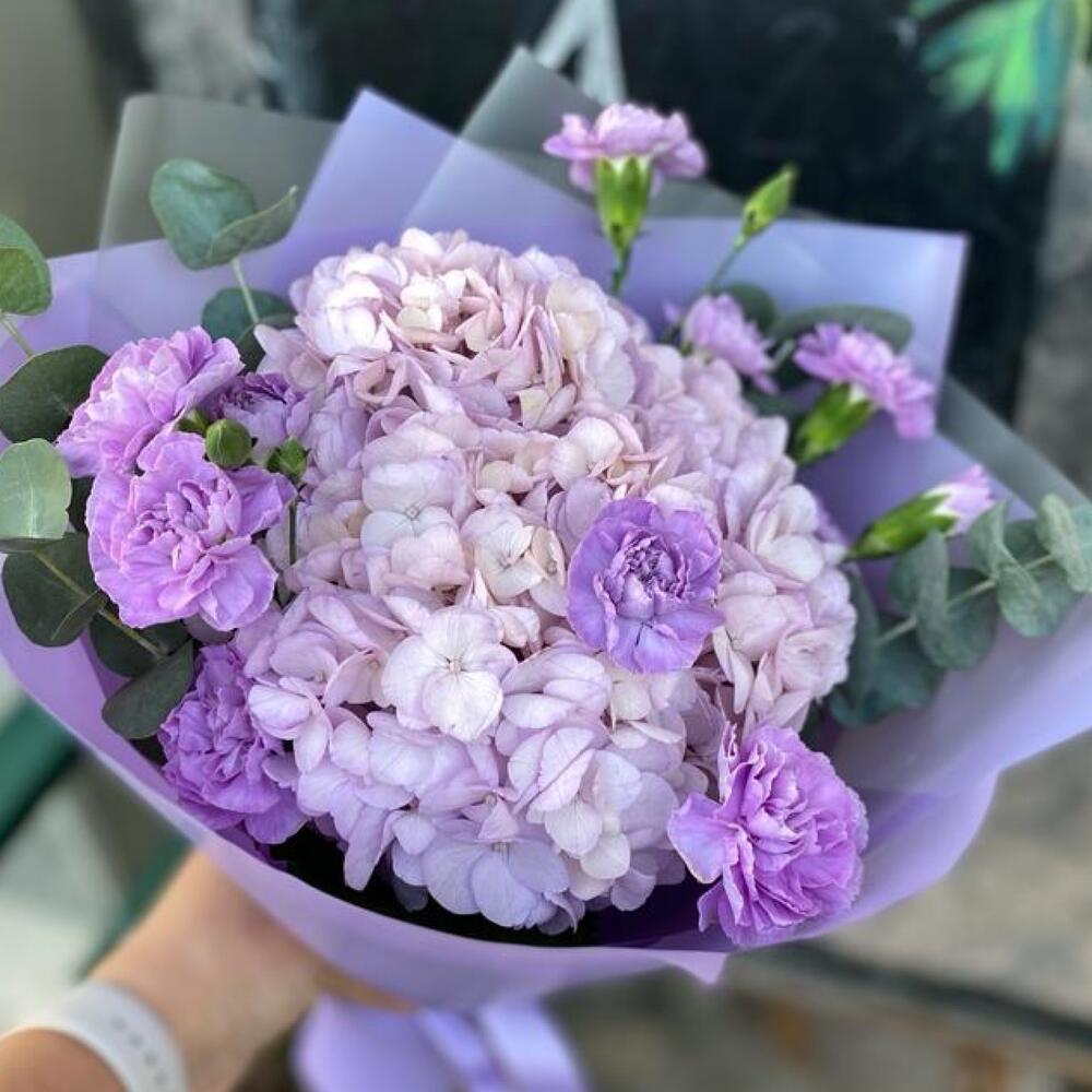 Лавандовые сны