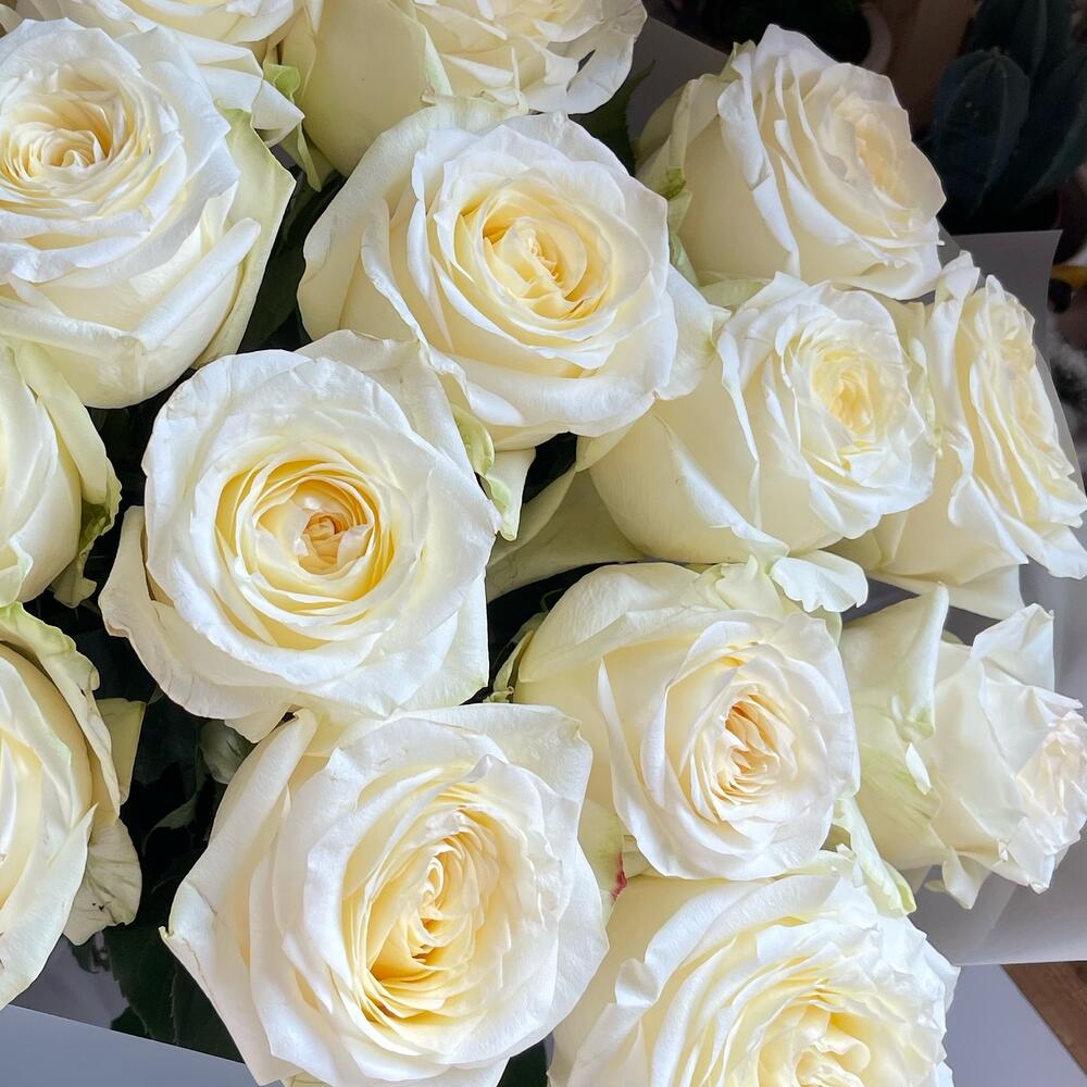 17 пионовидных роз💐