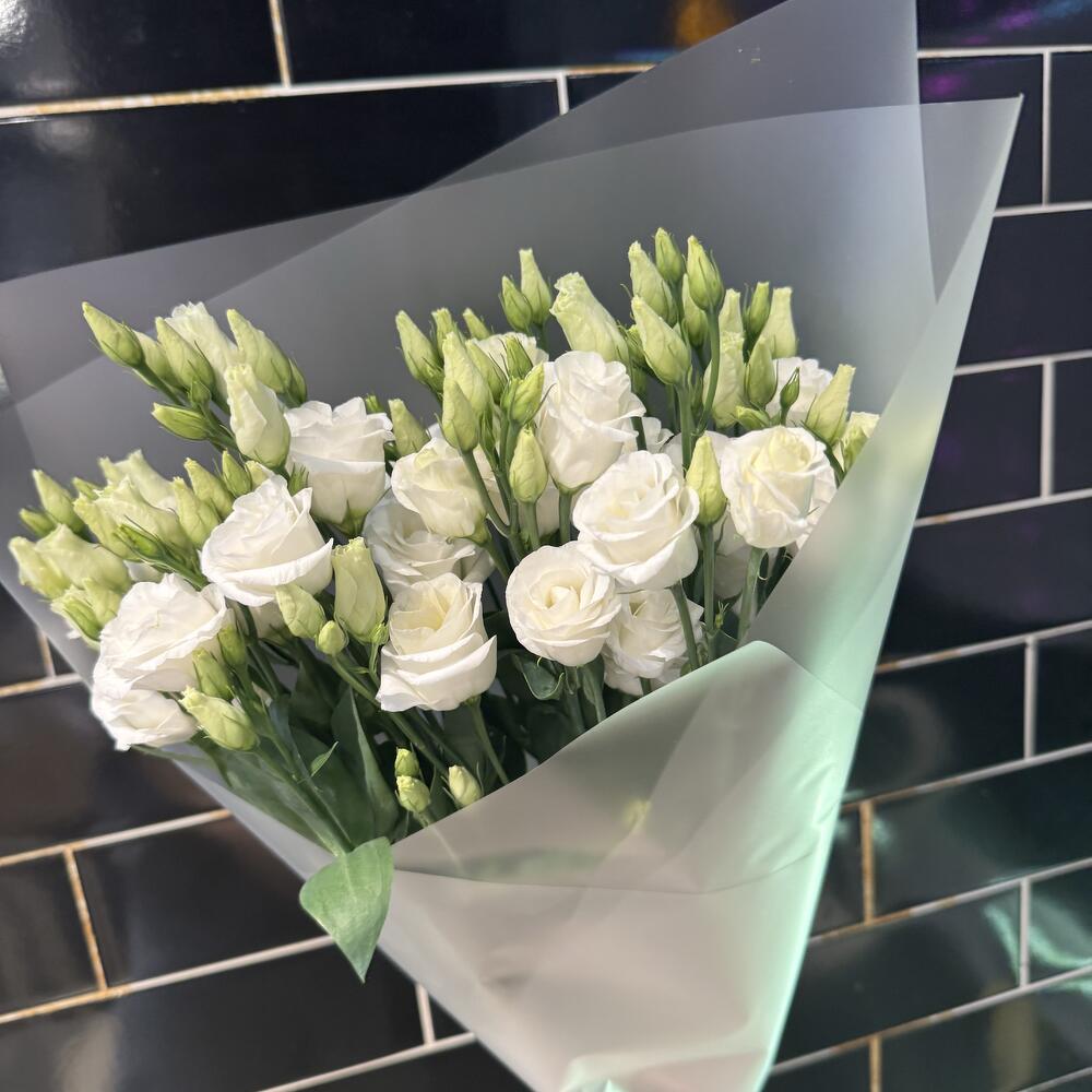 Eustoma