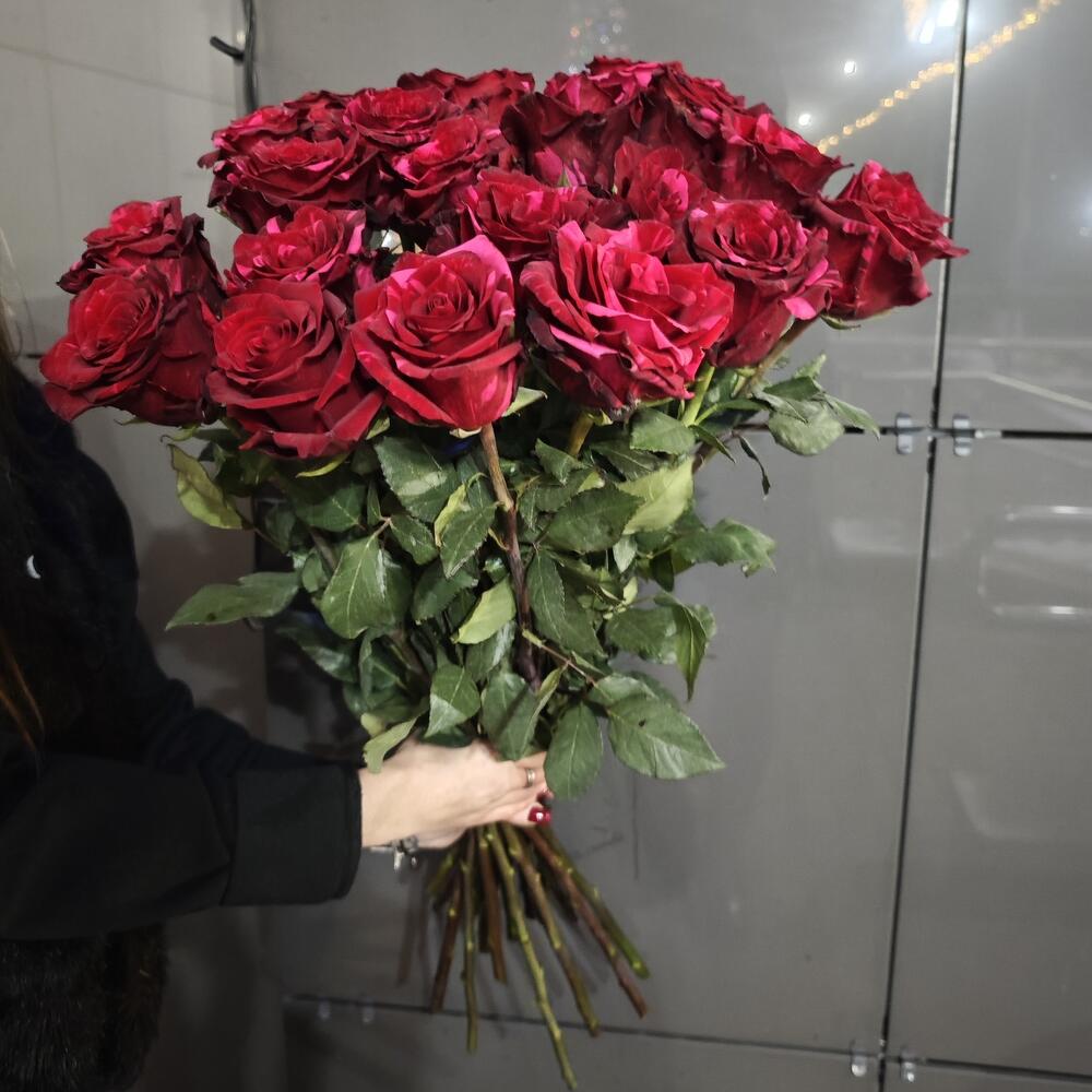 Розы Ред Пантер