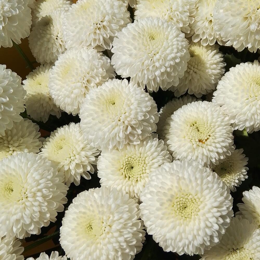 Японский букет