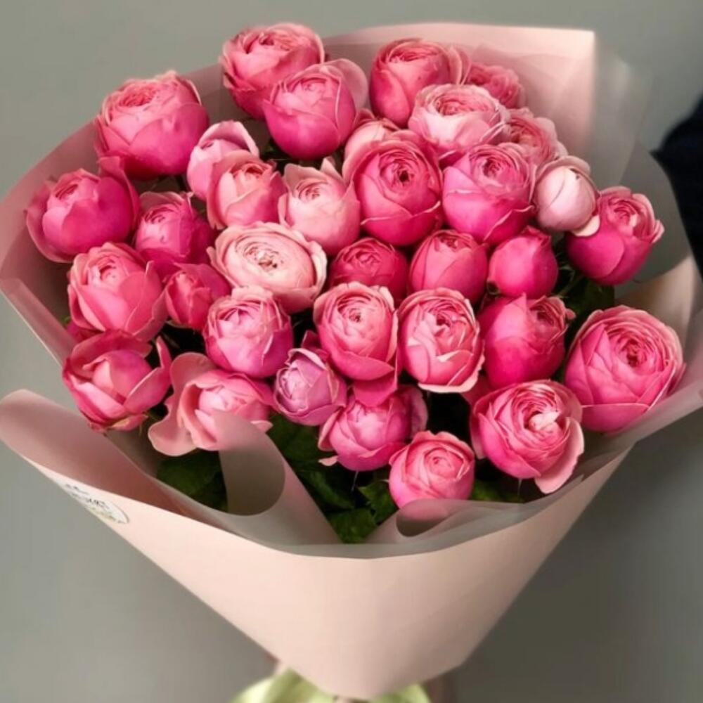 Сильва пинк 🌷