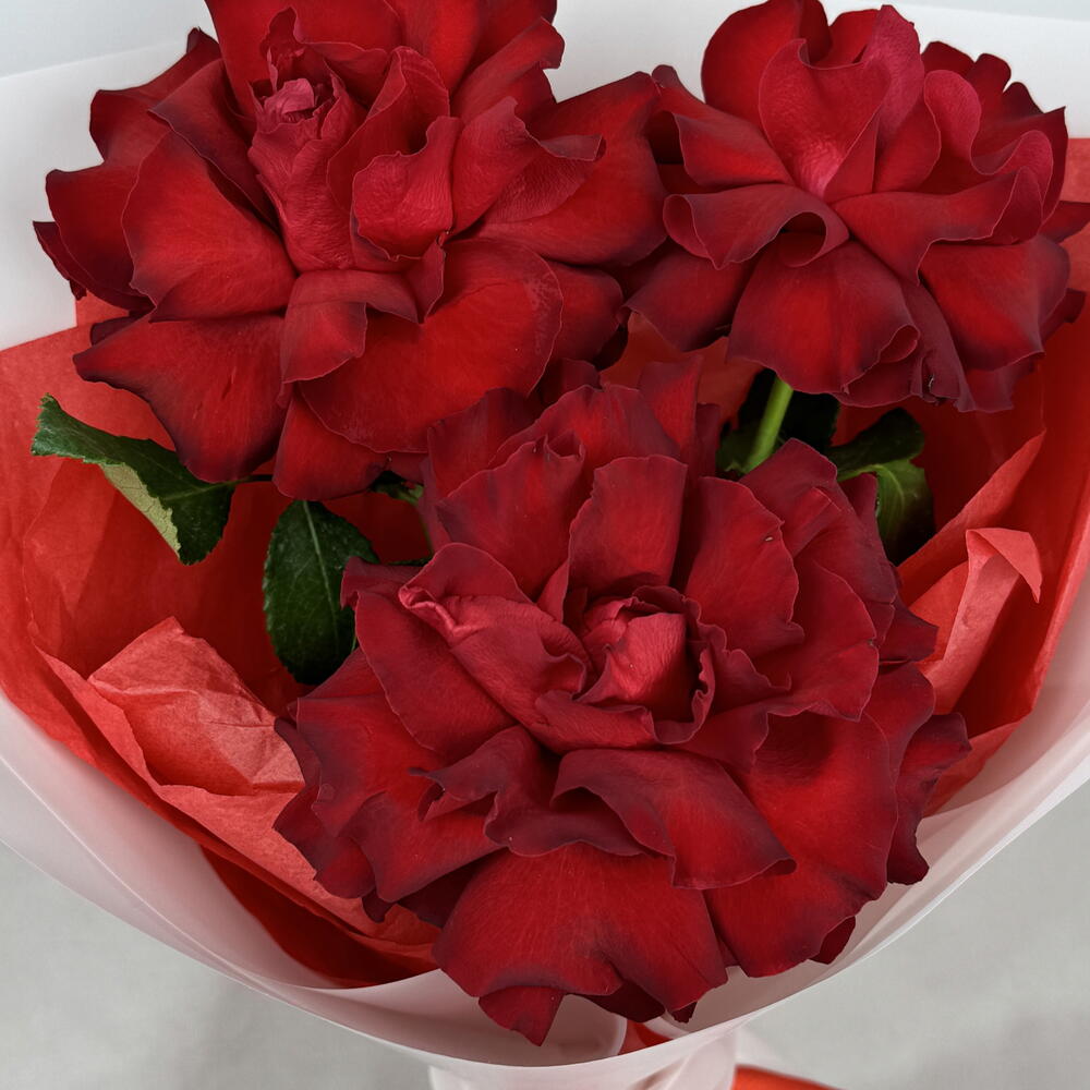 3 французские красные розы🌹