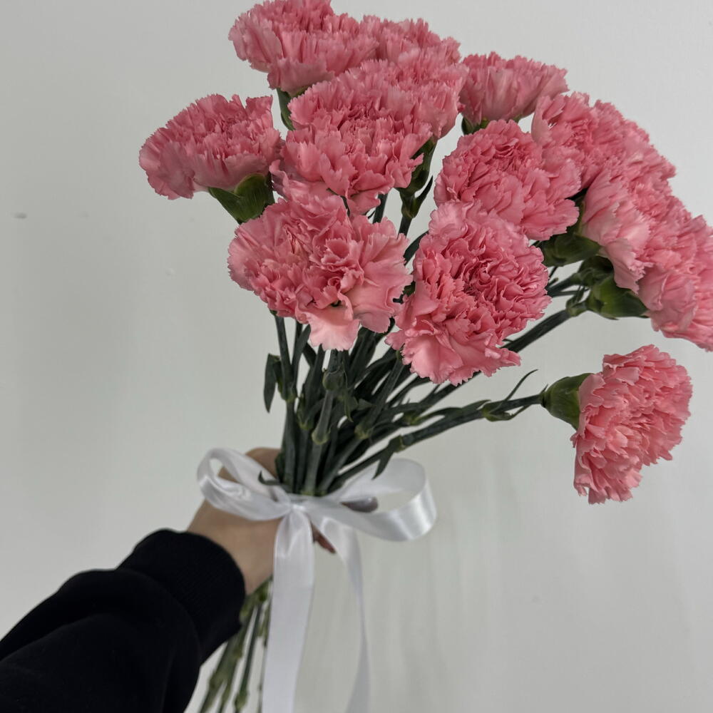Диантусы 15шт