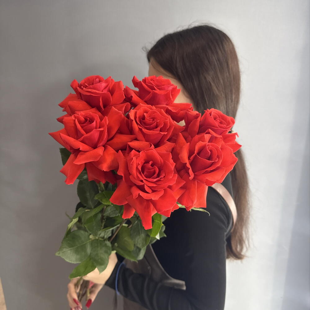 Француская роза Нина 7 шт