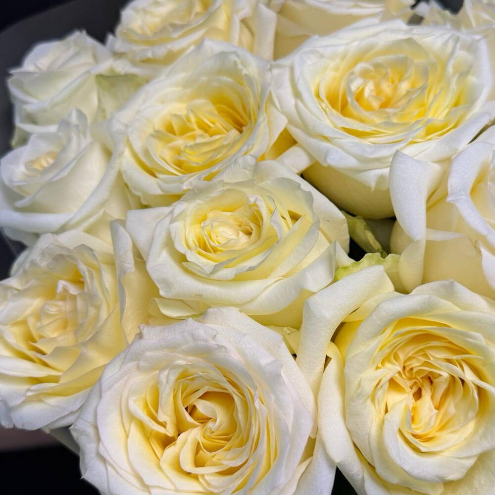 Монобукет из красивых роз 💛