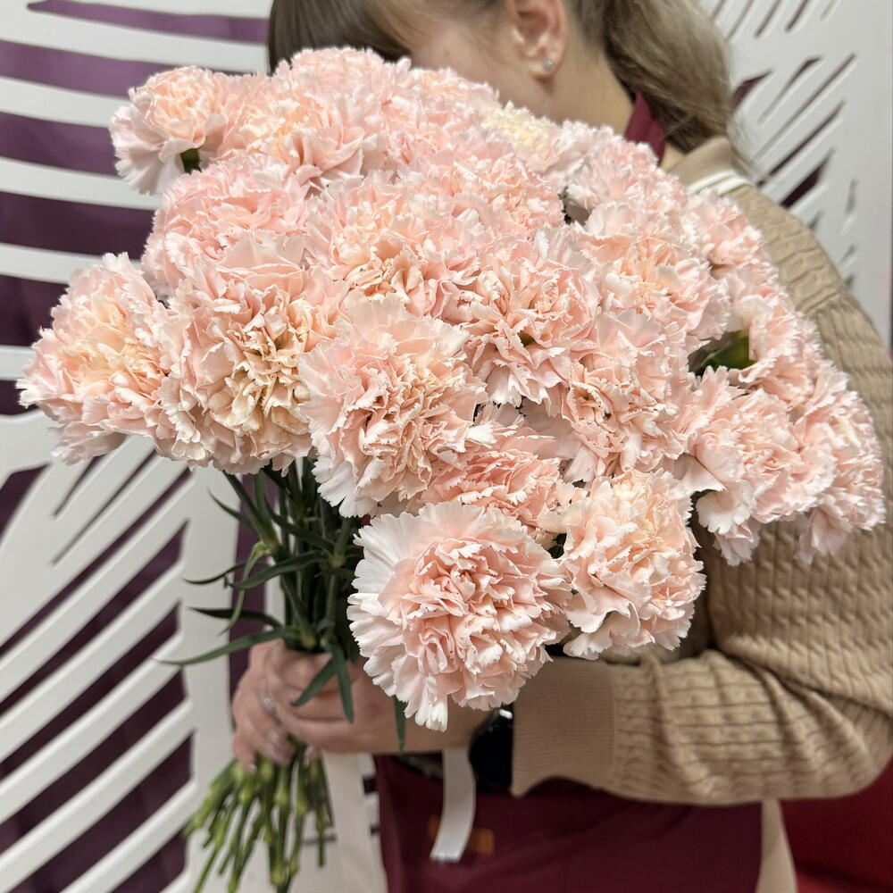 Букет розовых диантусов🌸