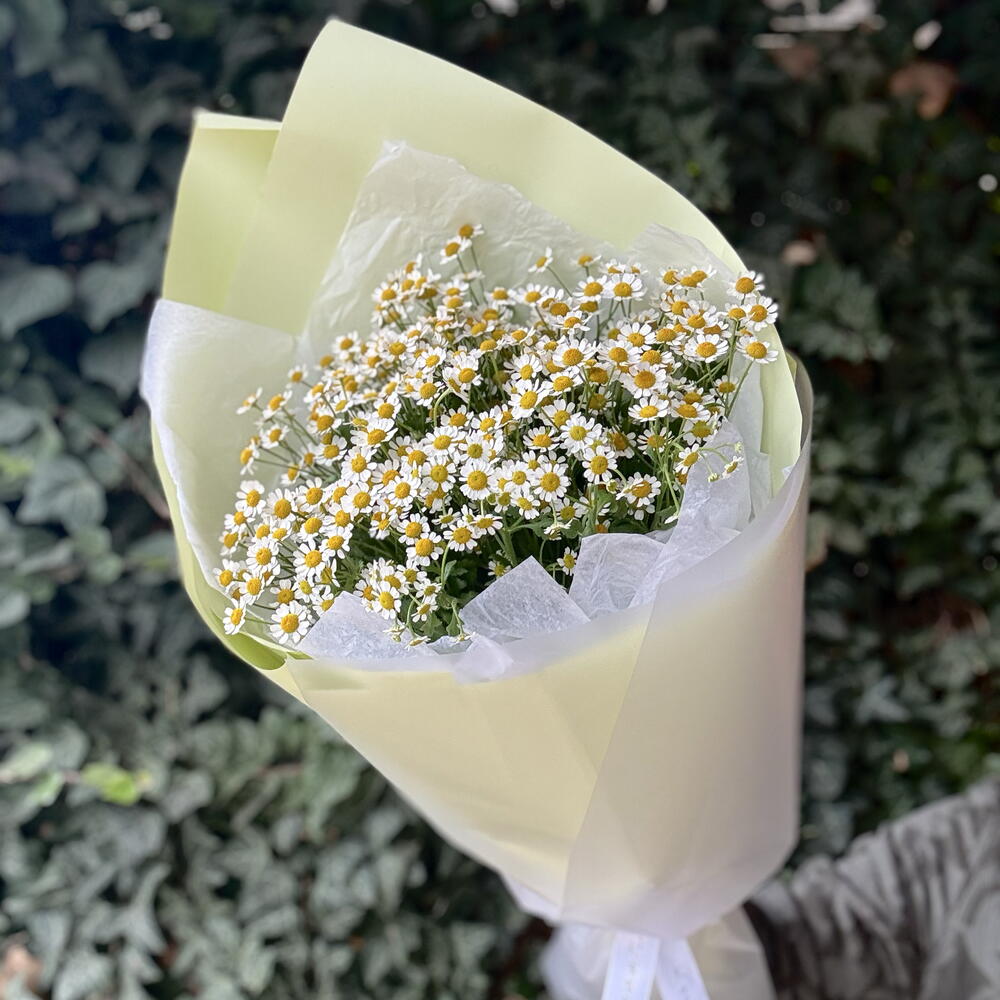 Букет ароматных маленьких ромашек 💛