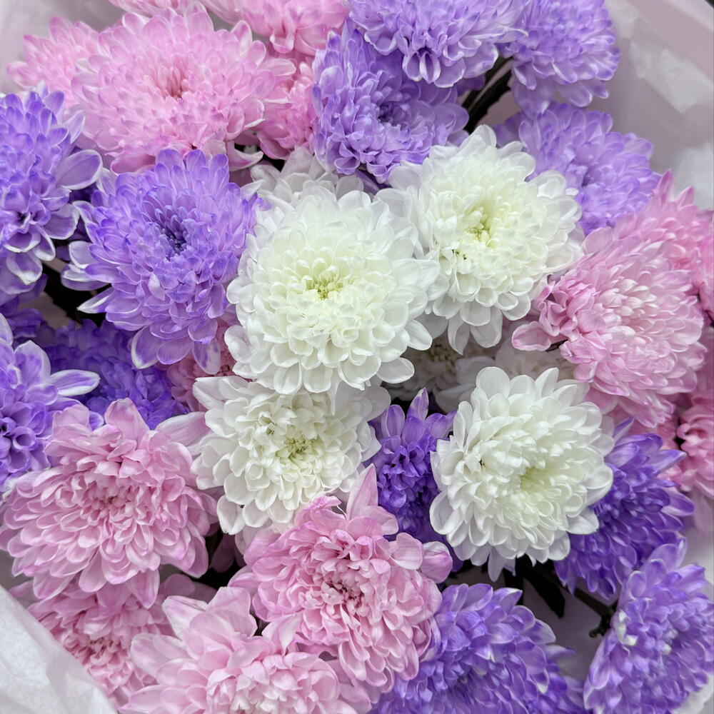 Букет«Радужный свет» из кустовой хризантемы 💜🤍🩷