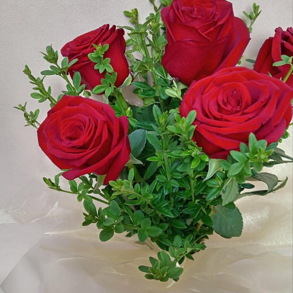 Elegant 5 Holland Roses
