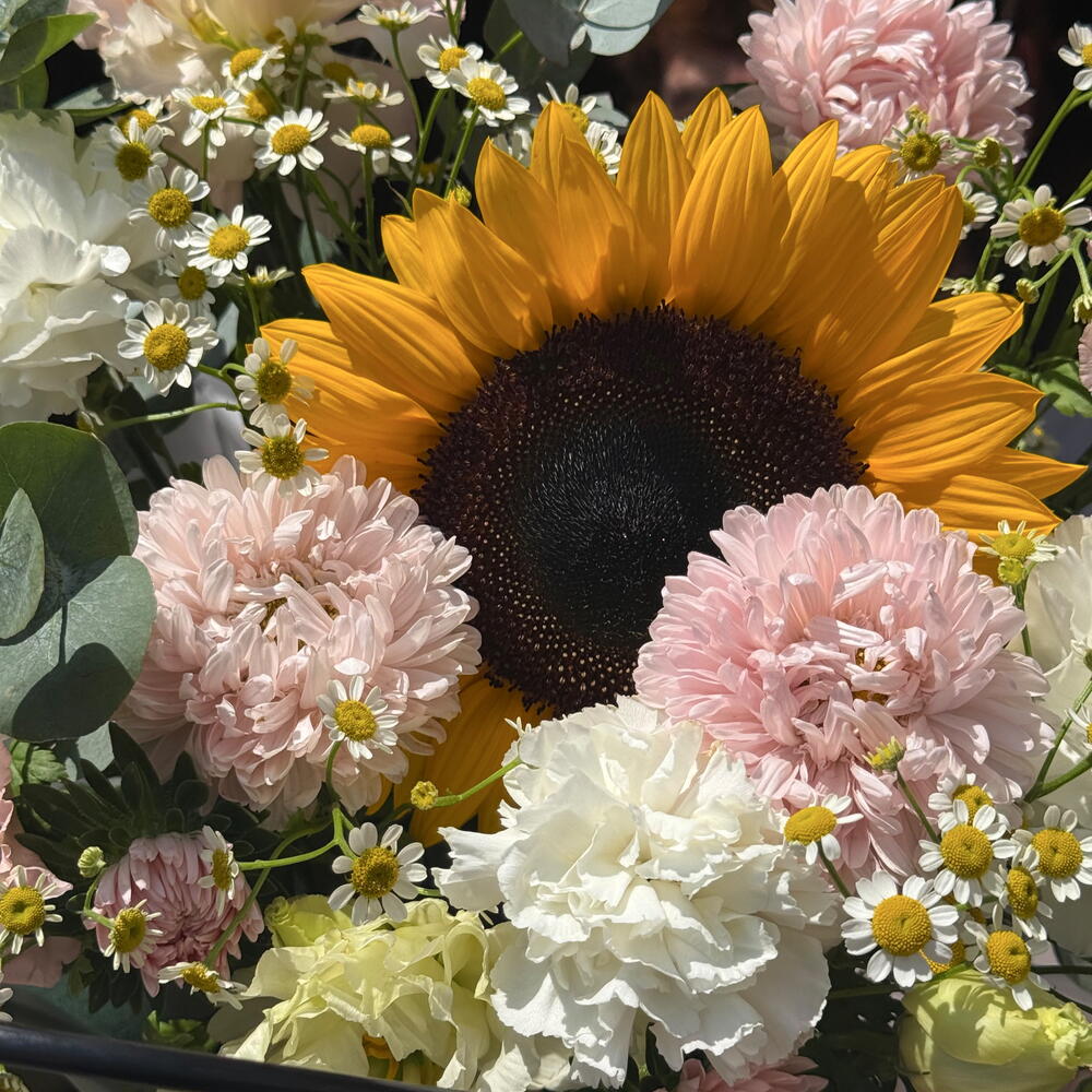 Honey Bloom