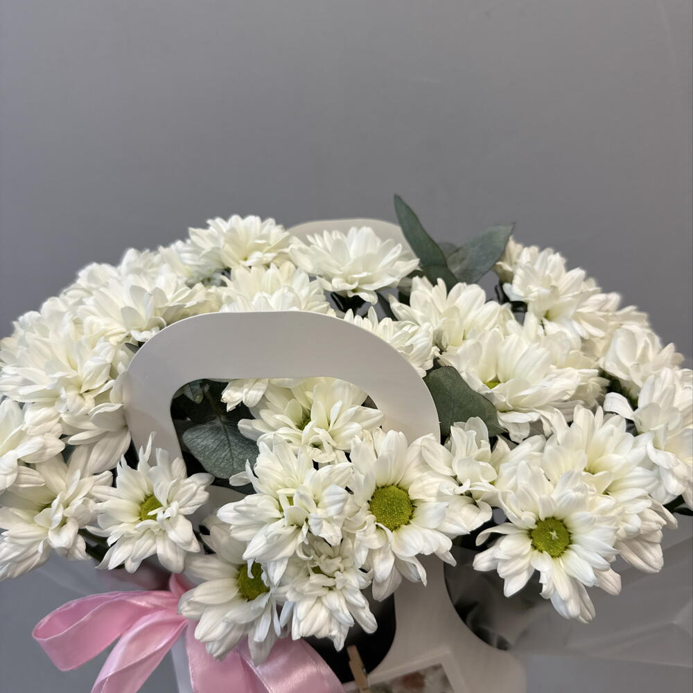 Композиция 12500