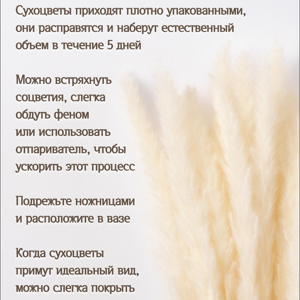 Пампас мини белый 45 шт. Высший сорт М265
