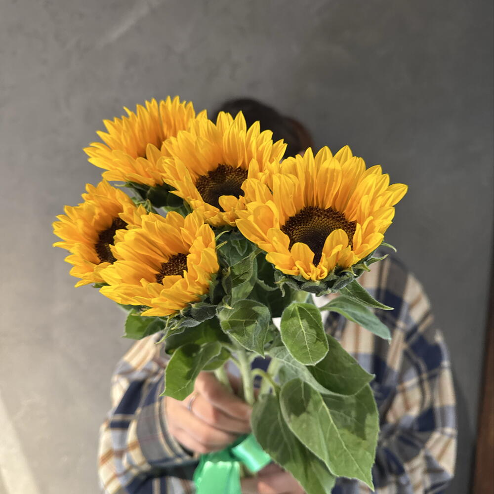 Подсолнухи мини декоративные 🌻