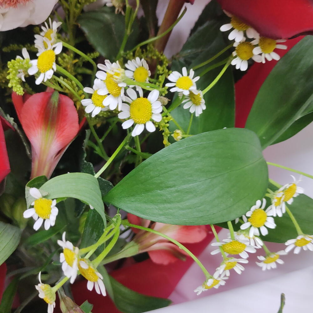 Букет"страсть"🌸