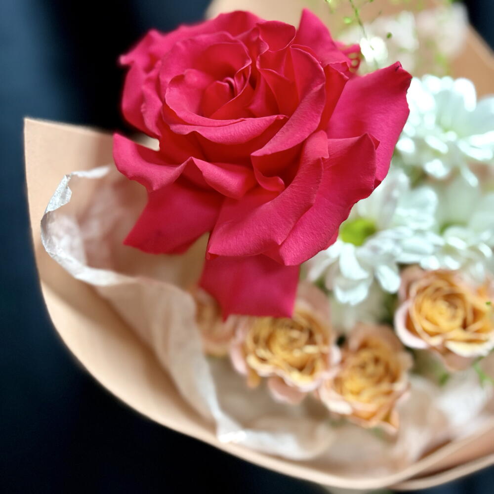 Миник