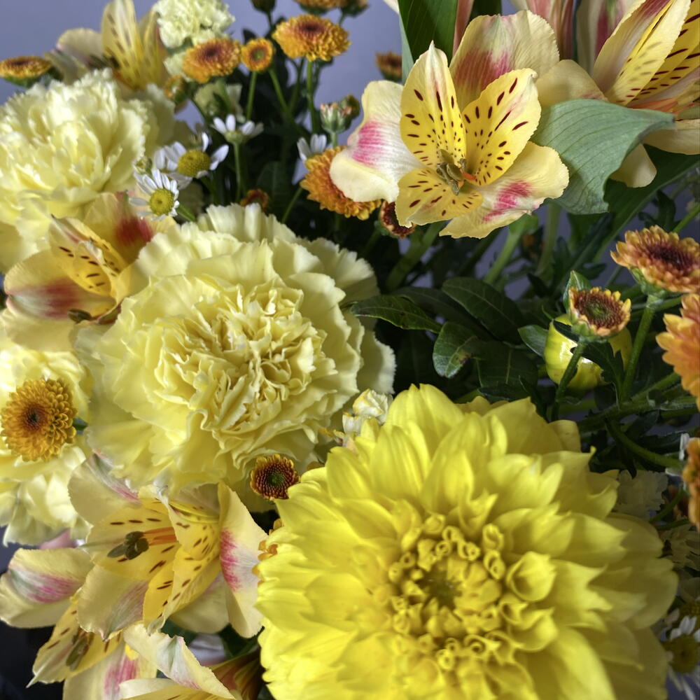 Композиция 🌼