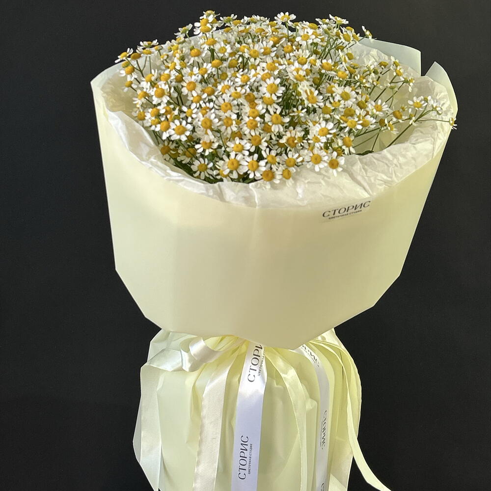 Мини ромашки