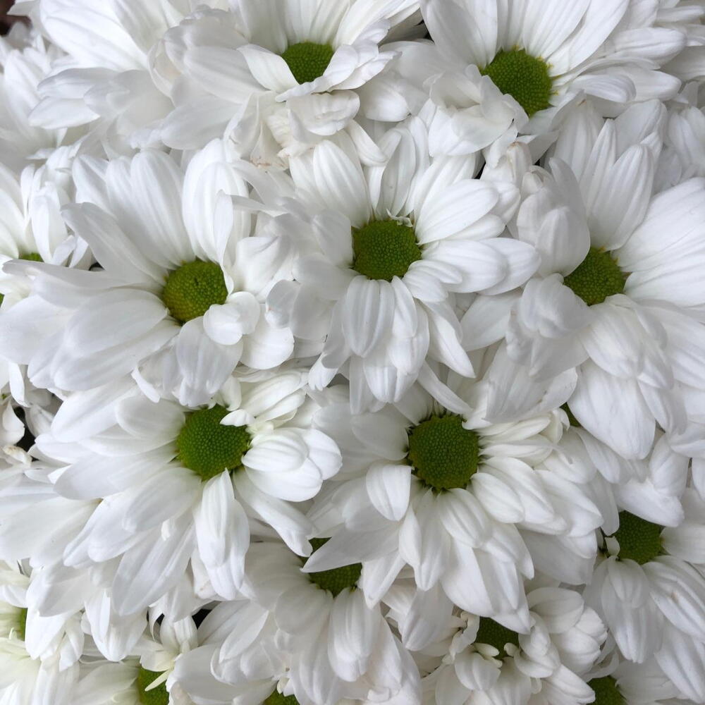 ✅ Цилиндр Present XXXL ХИТ