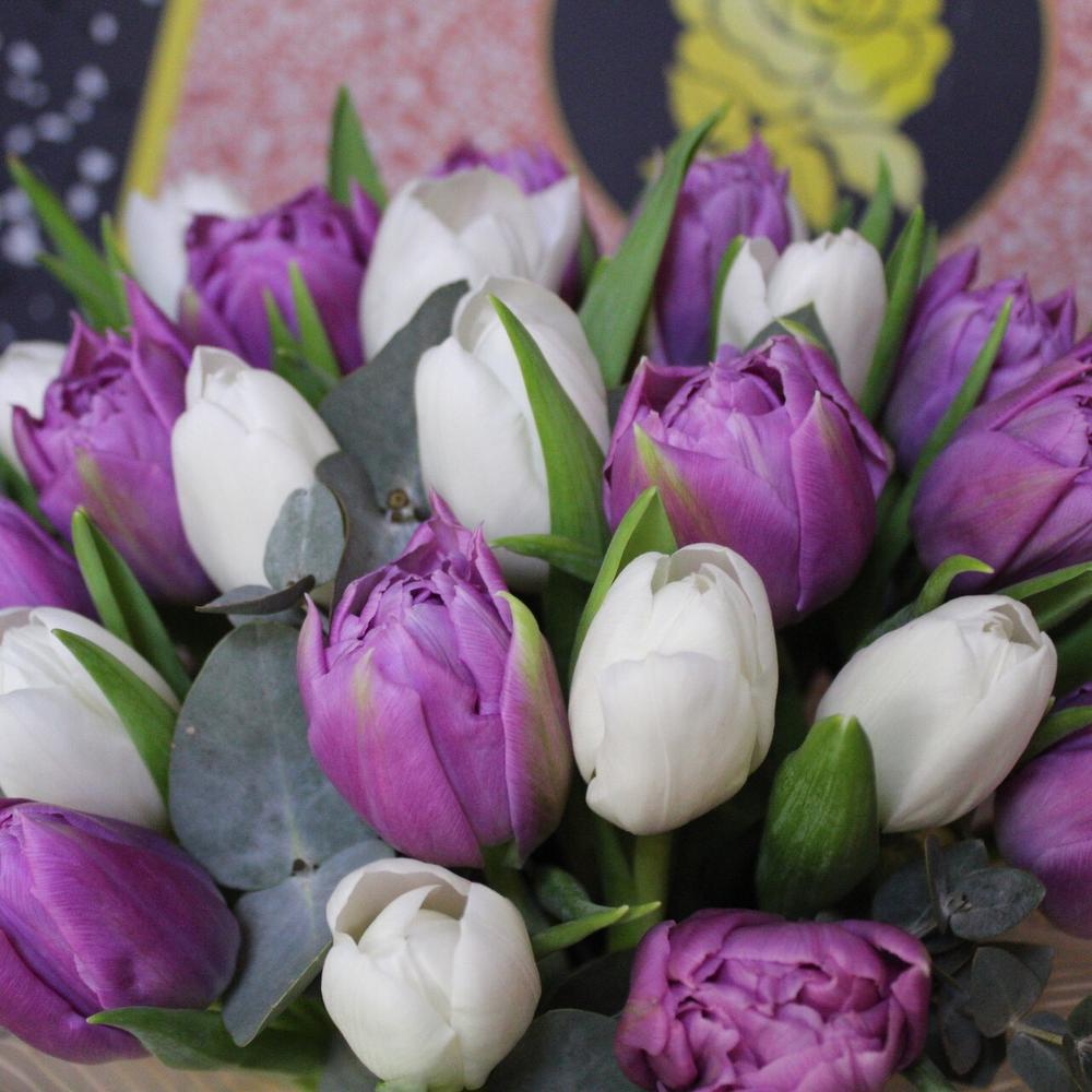 25 tulips in a box