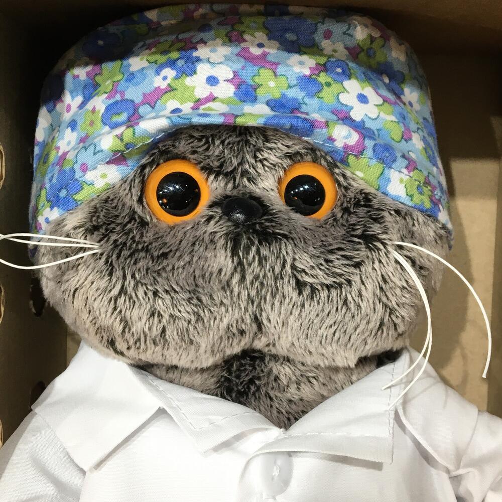 Кот Басик Весёлый доктор