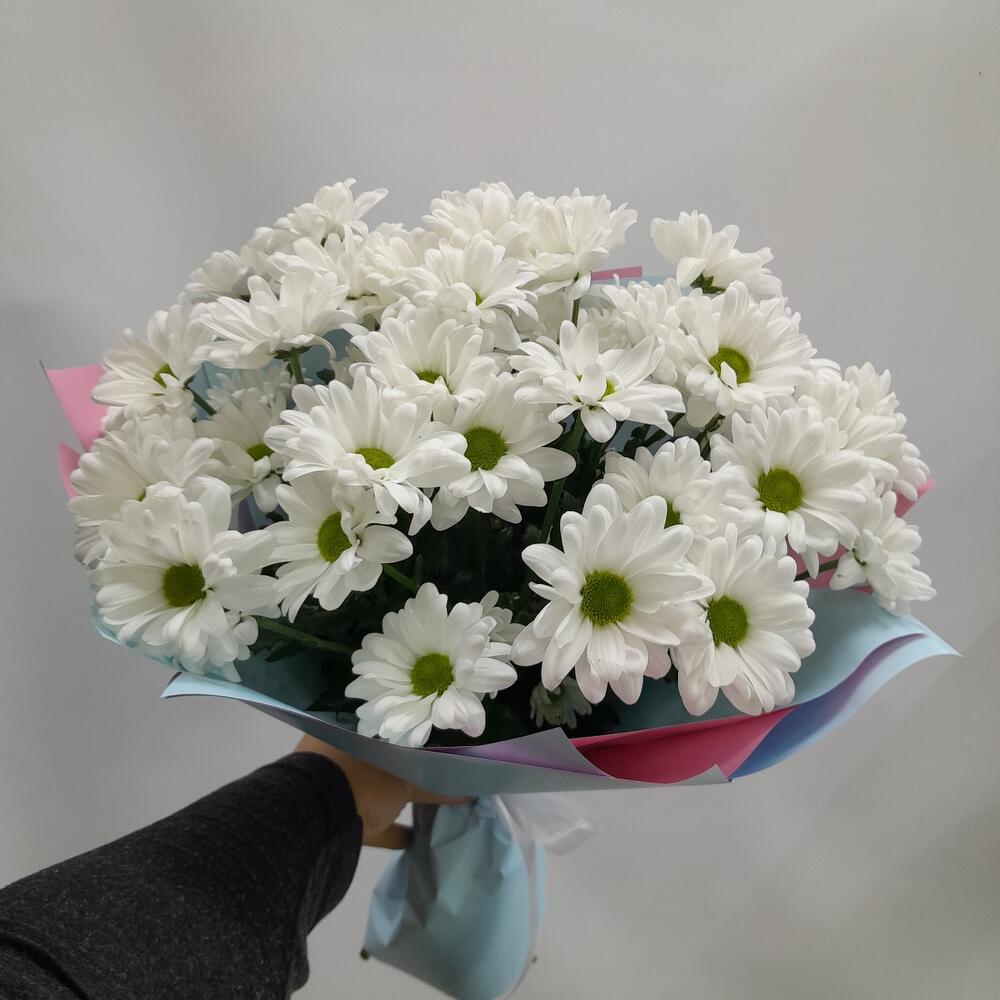 Daisies🌼