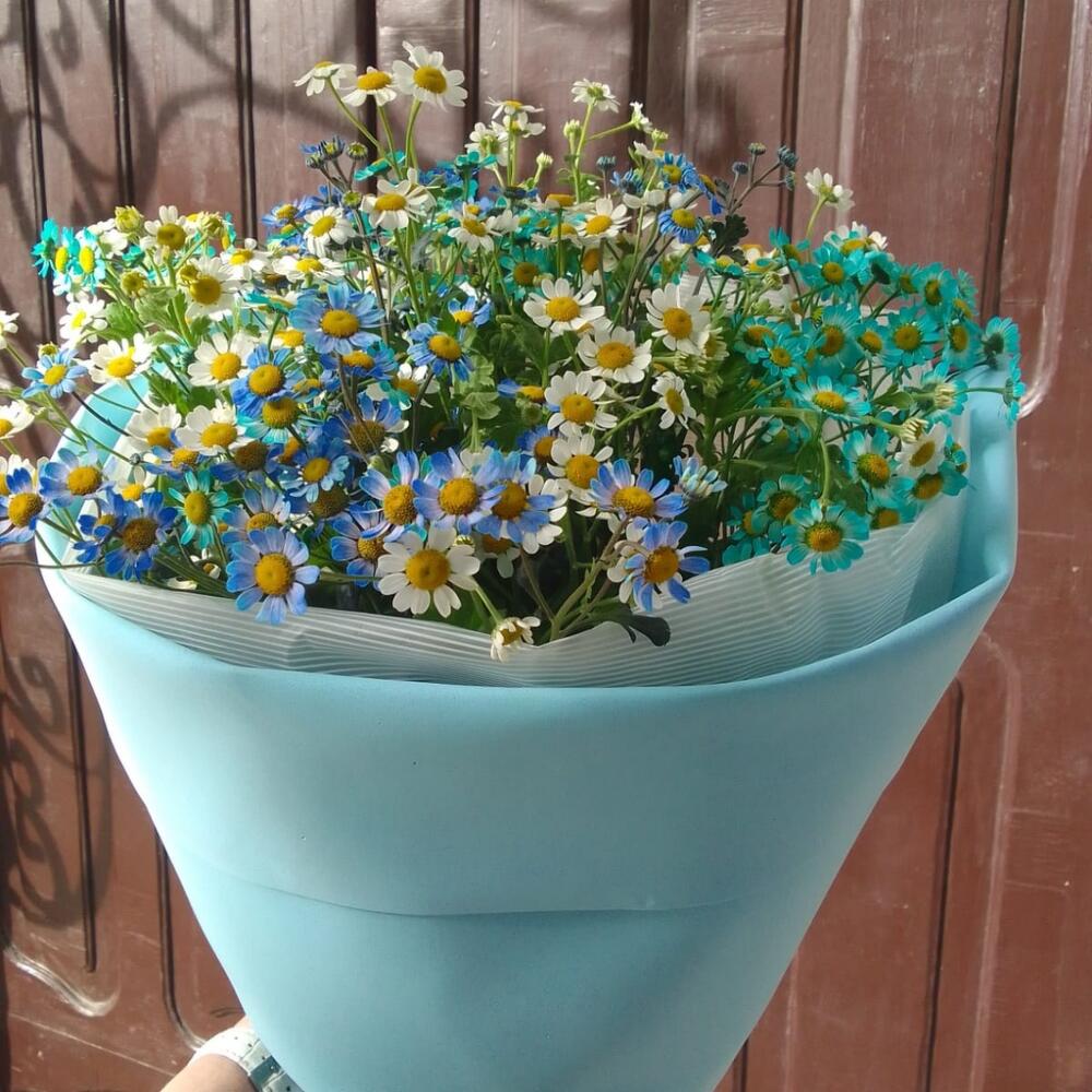 Улыбка  радуги