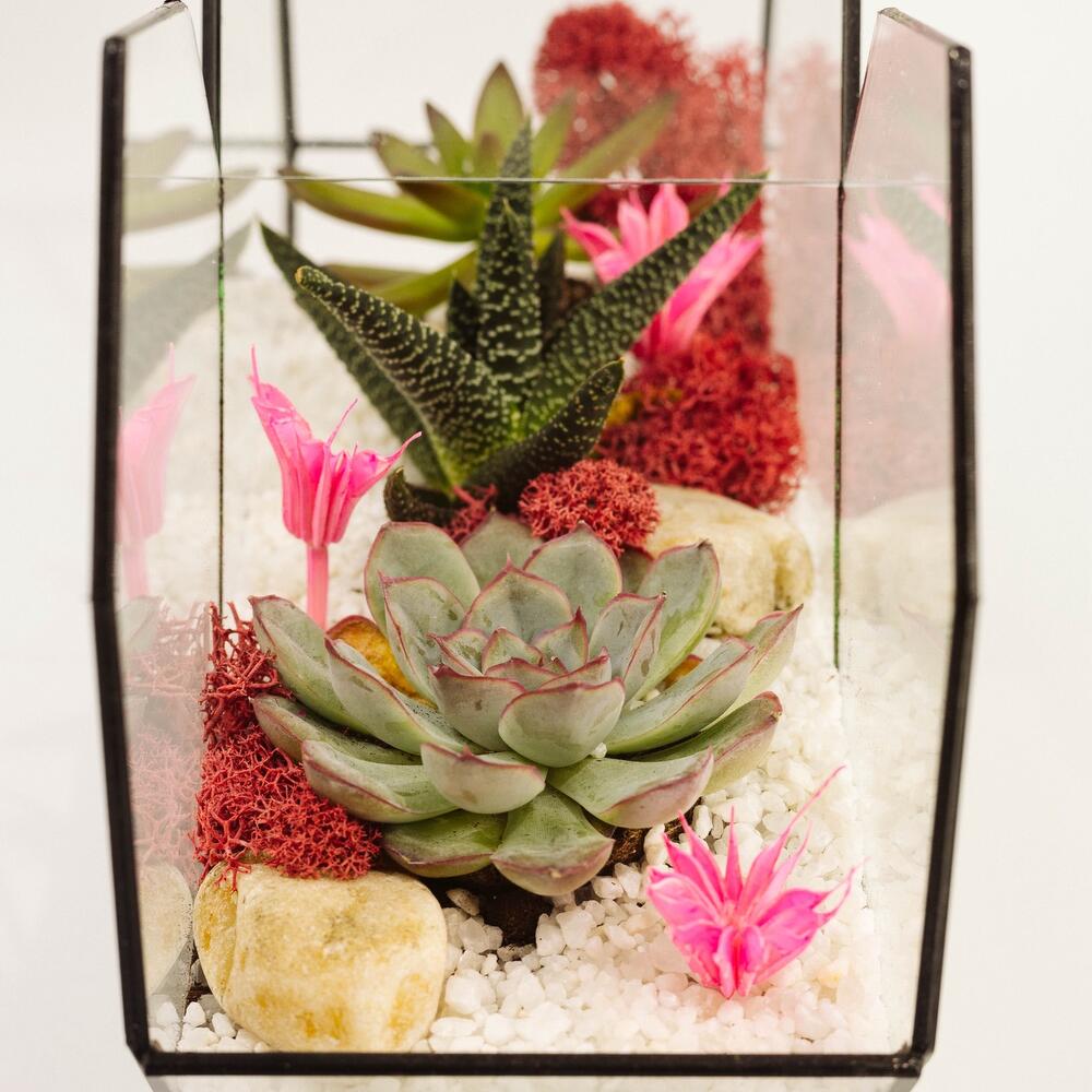 Florarium Heart