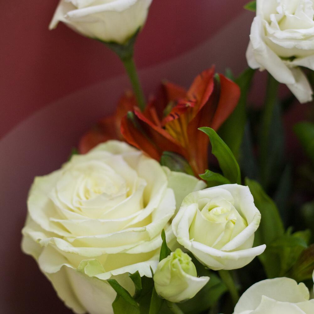 Bqt: 89