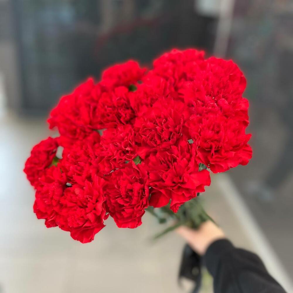 20 гвоздик красных