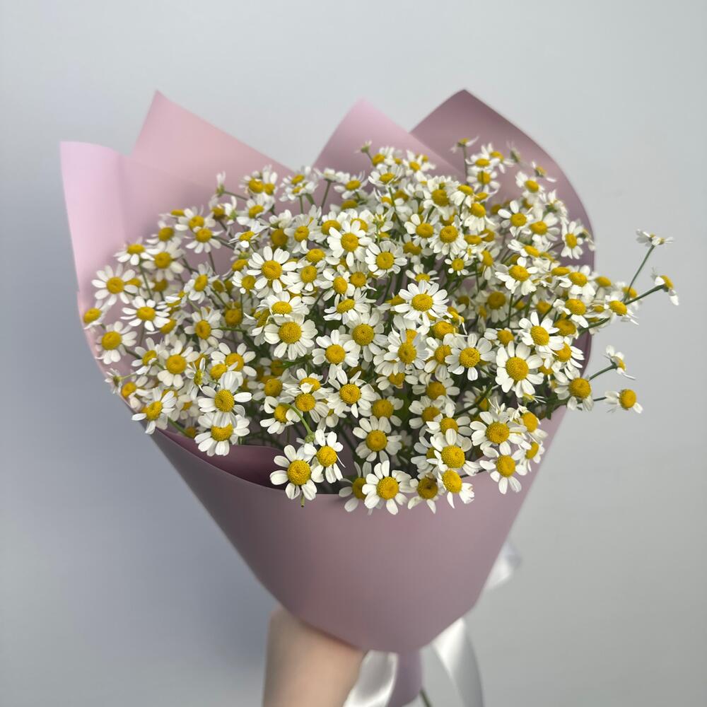 Ароматные ромашки🌸 монобукет комплимент